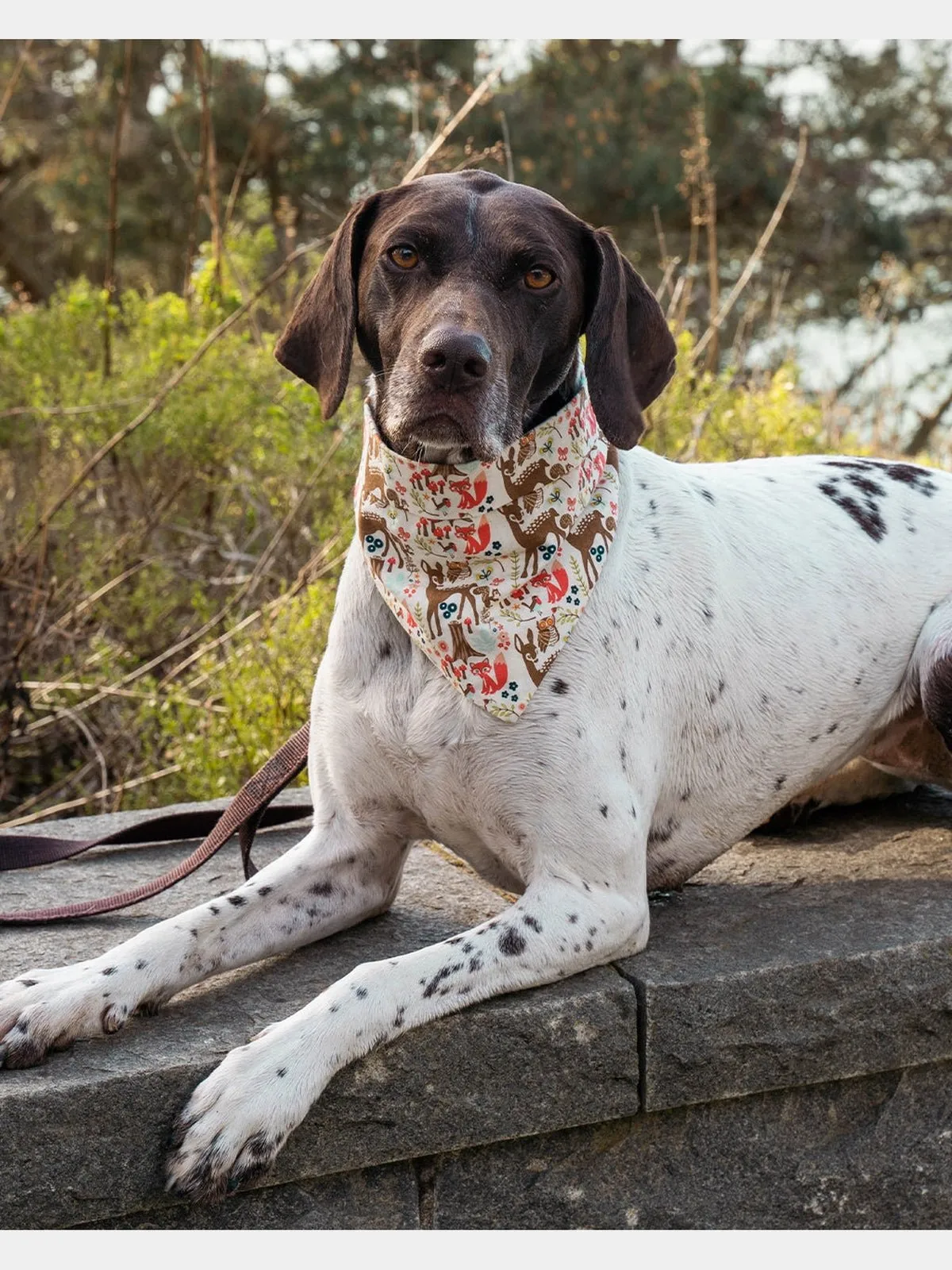 ADVENTURE BANDANA