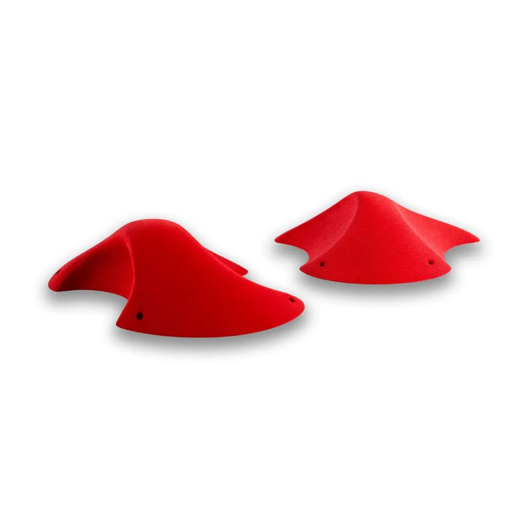 Biotes 460  4, 440  1 - Textured