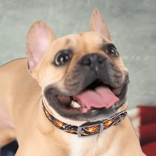 Bright Patriot Sky Dog Collar🌞🐾