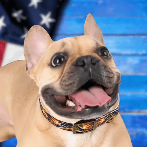 Bright Patriot Sky Dog Collar🌞🐾