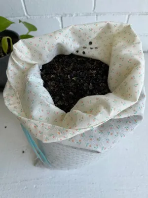Buckwheat Hull Refill Bag