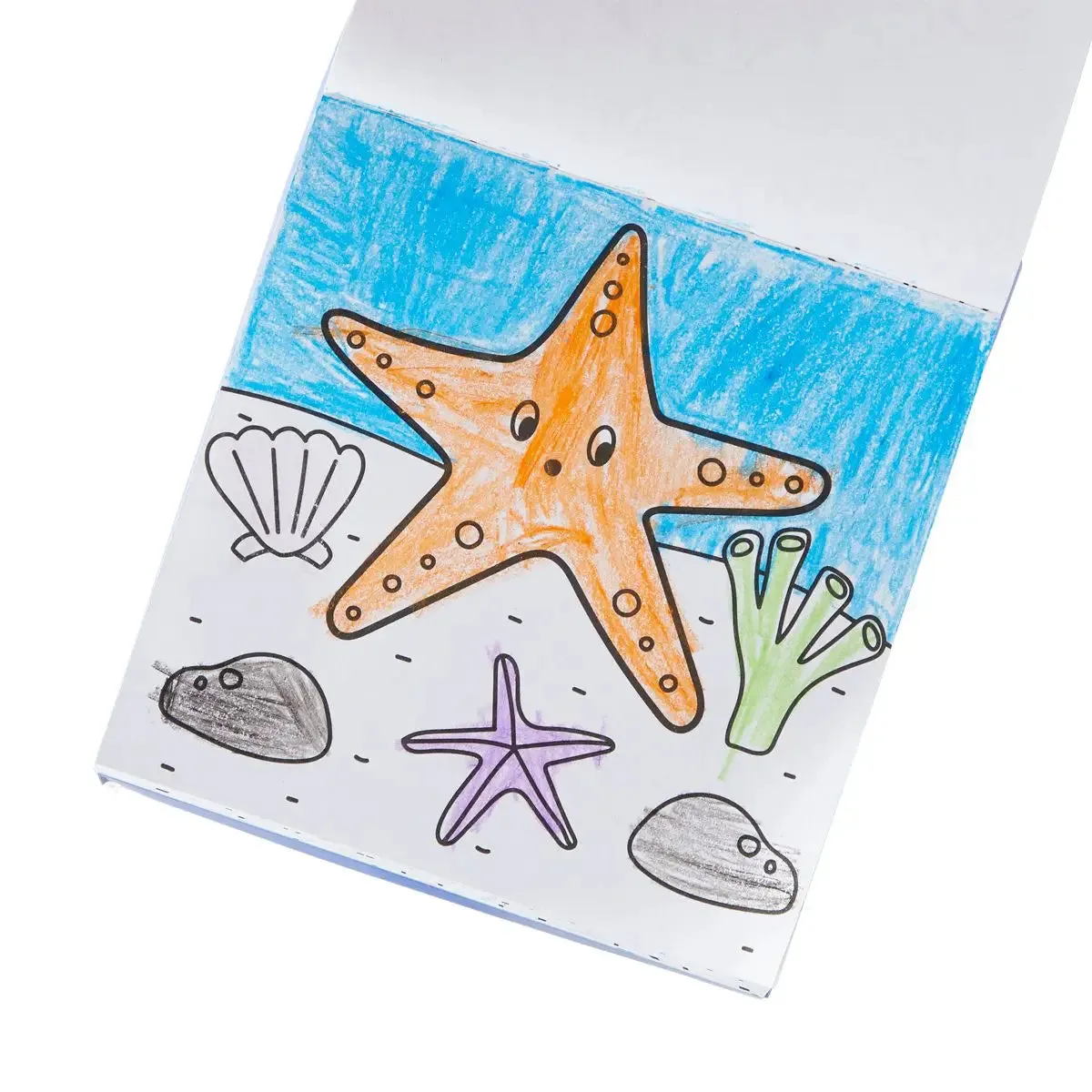 Carry Along Crayon & Coloring Book Kit-On: Pet Pals
