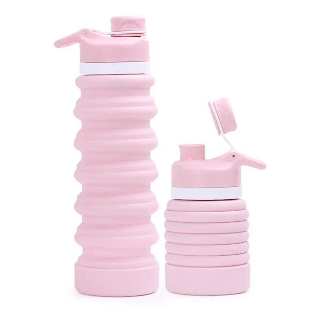 Collapsible Travel Water Bottle