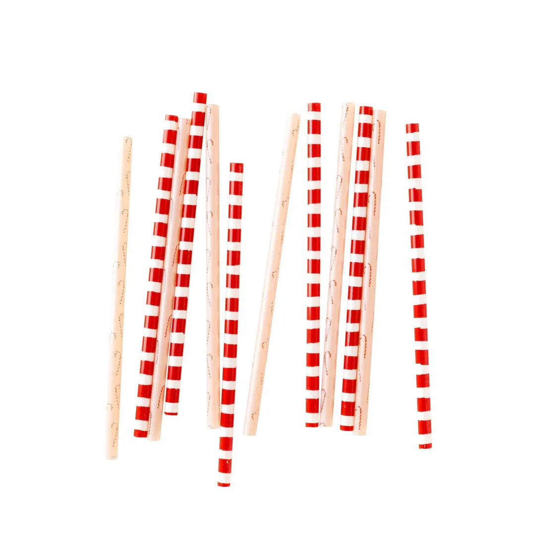 Elf Reusable Plastic Straws