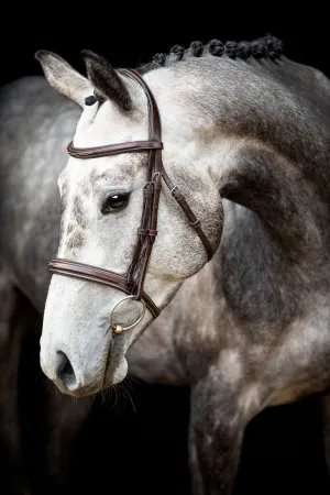 Hunter Bridle Organic Tanned - Brown