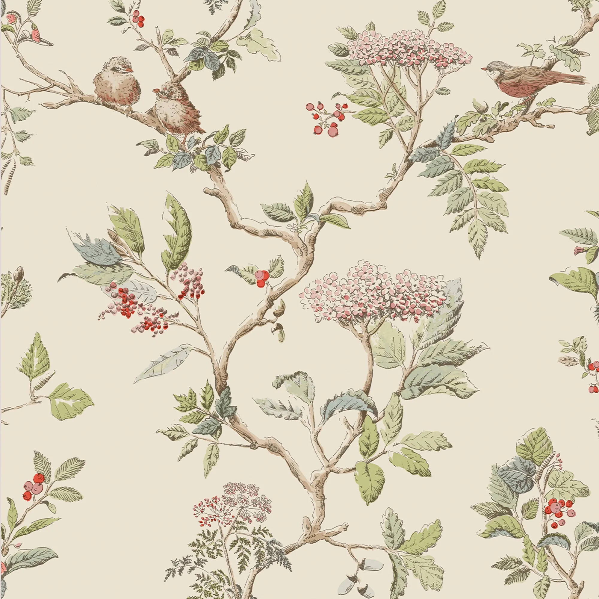 Laura Ashley Wallpaper Elderwood Natural 113346