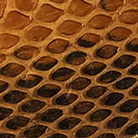 Medium Brown Snakeskin Leather Belt