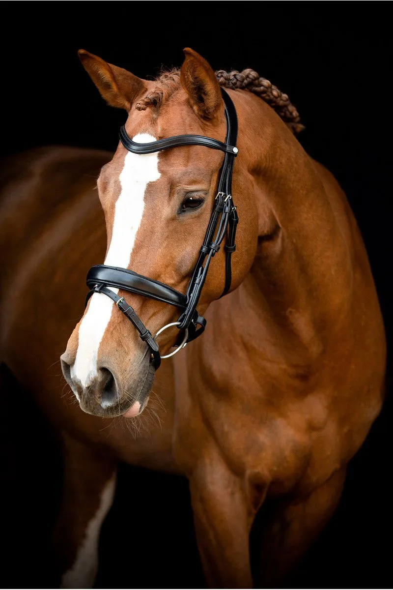 Normandie Bridle Organic Tanned - Black