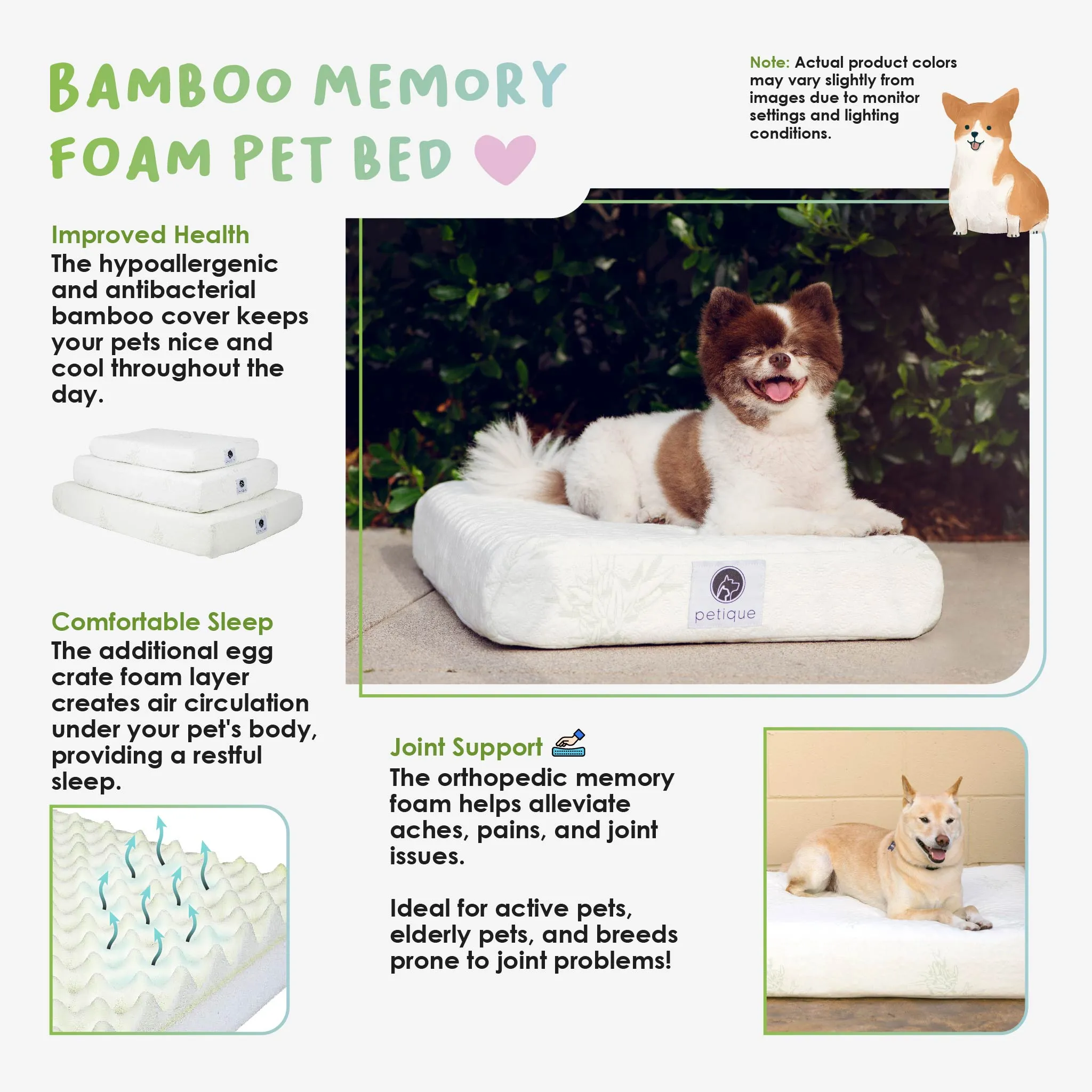 PETIQUE Bamboo Orthopedic Memory Foam Pet Bed - Small/Medium/Large, Sustainable, Non-Toxic, Hypoallergenic, for Dogs/Cats/Other Animals