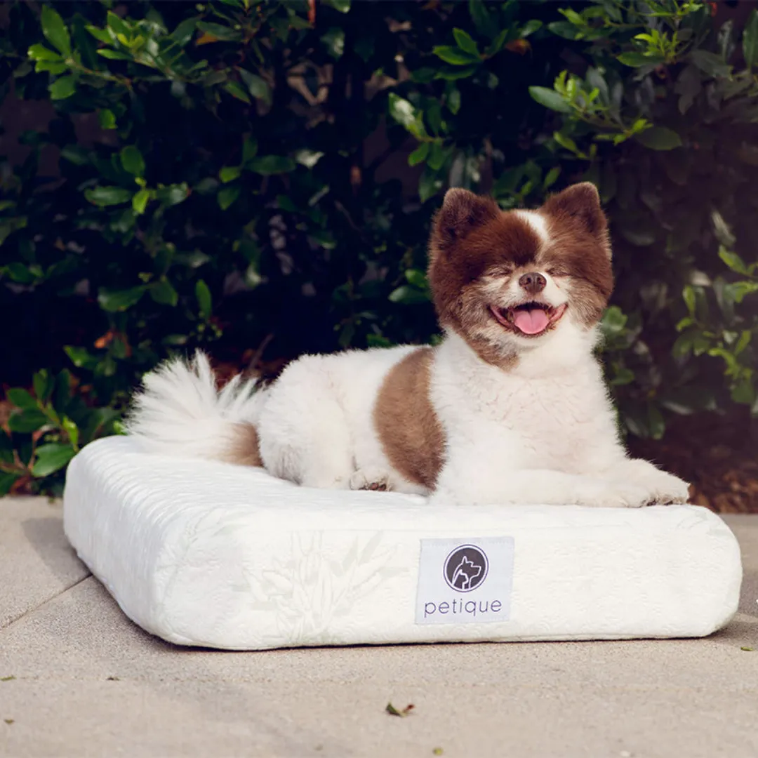 PETIQUE Bamboo Orthopedic Memory Foam Pet Bed - Small/Medium/Large, Sustainable, Non-Toxic, Hypoallergenic, for Dogs/Cats/Other Animals
