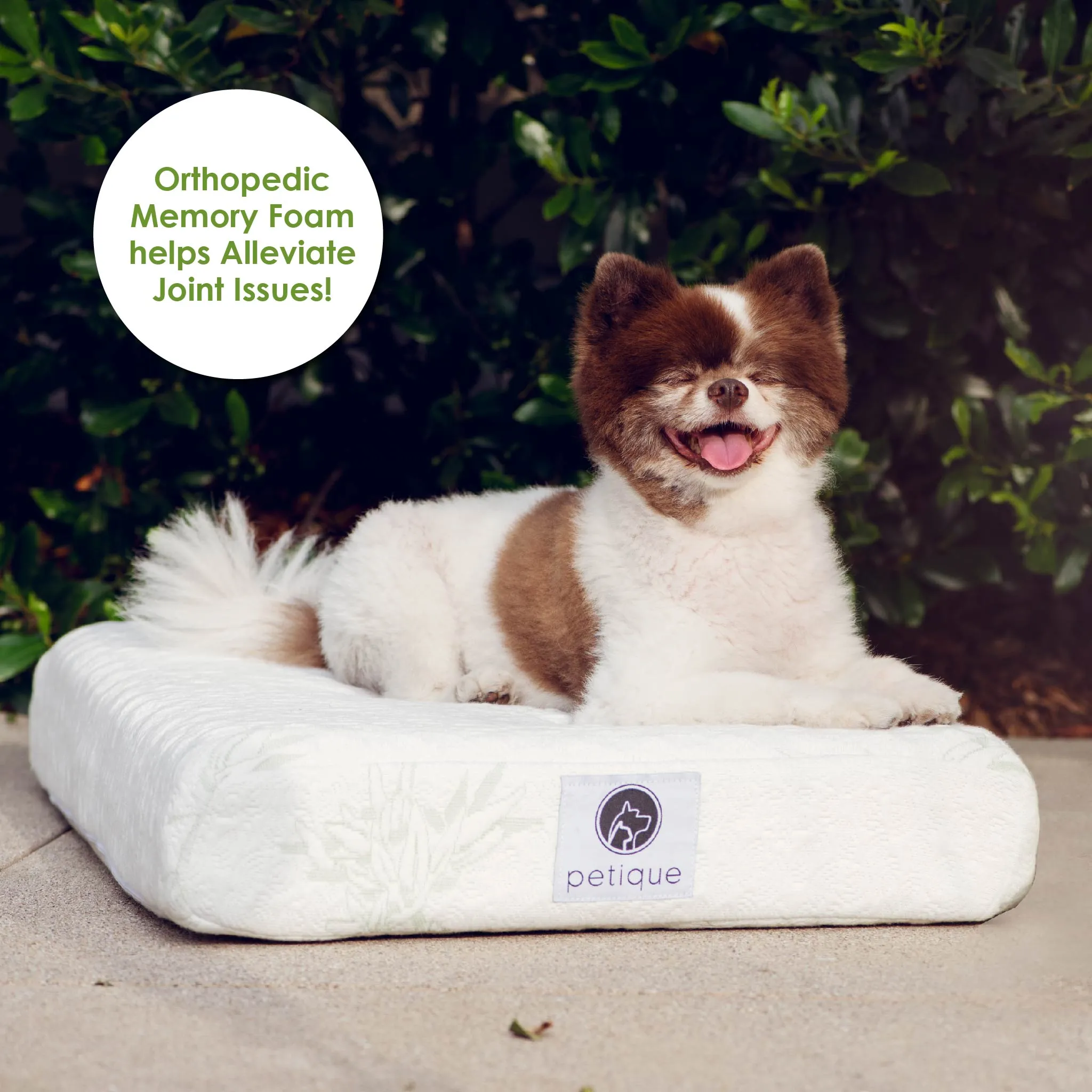 PETIQUE Bamboo Orthopedic Memory Foam Pet Bed - Small/Medium/Large, Sustainable, Non-Toxic, Hypoallergenic, for Dogs/Cats/Other Animals
